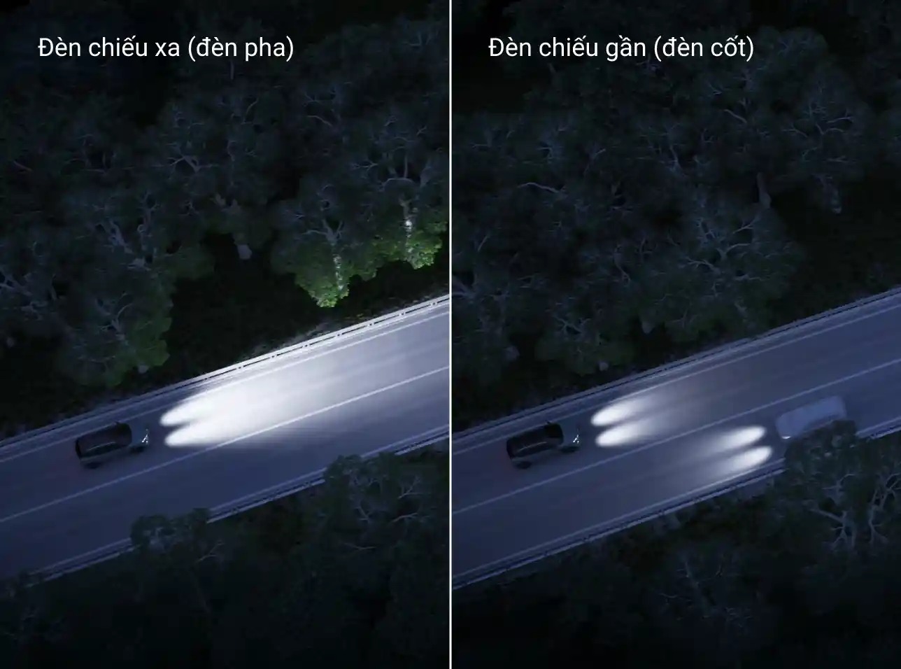 Suzuki Fronx ĐÈN PHA TỰ ĐỘNG (HBA)